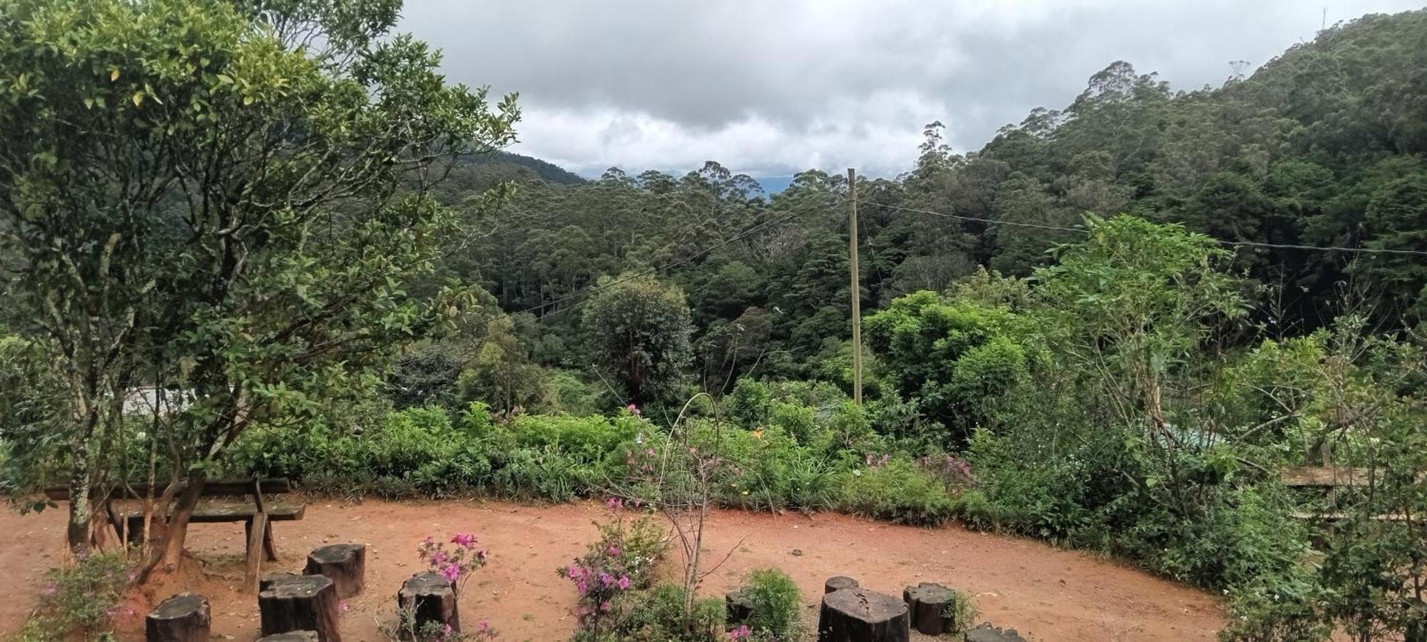 Forest Cyniciam Homestay Ohiya Zimmer foto