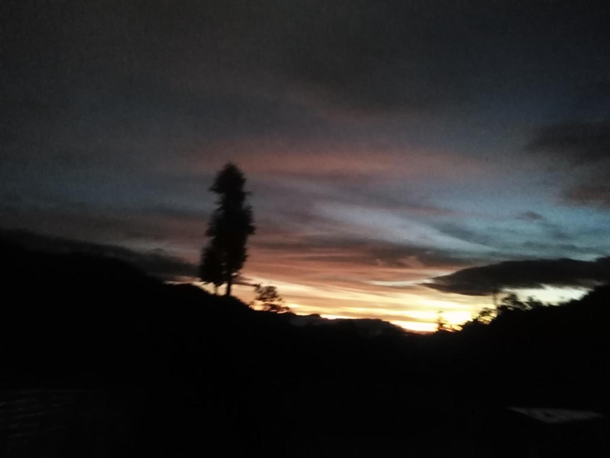 Forest Cyniciam Homestay Ohiya Zimmer foto